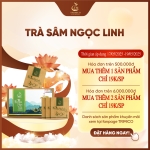 Trà Sâm Ngọc Linh TRIMICO
